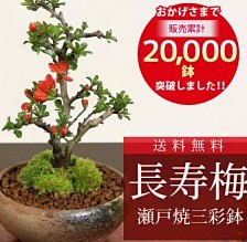 ※商品価格はリンク作成時点の情報であり、現在の価格と異なる場合があります。